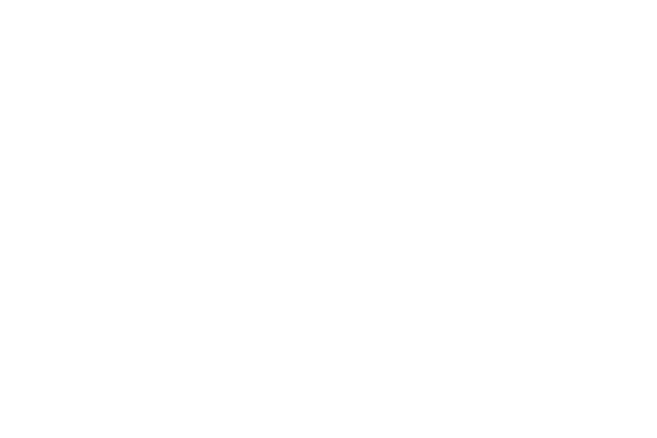 Northern Lights Newcastle